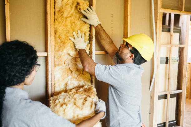 Insulation Inspection Services in Schnecksville, PA