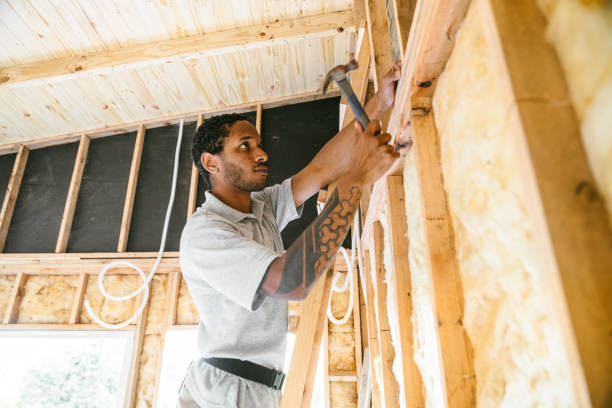 Best Insulation Inspection Services  in Schnecksville, PA