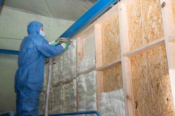 Best Insulation for New Construction  in Schnecksville, PA